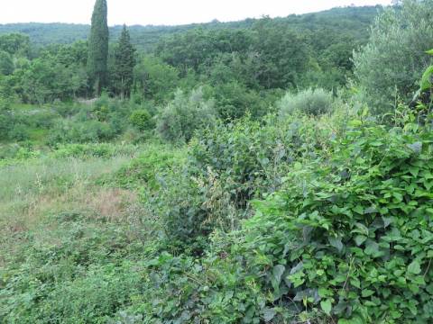 Lands Brseč, Mošćenička Draga, 1.157m2