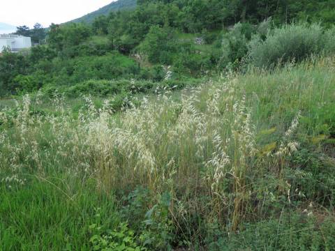 Lands Brseč, Mošćenička Draga, 1.157m2
