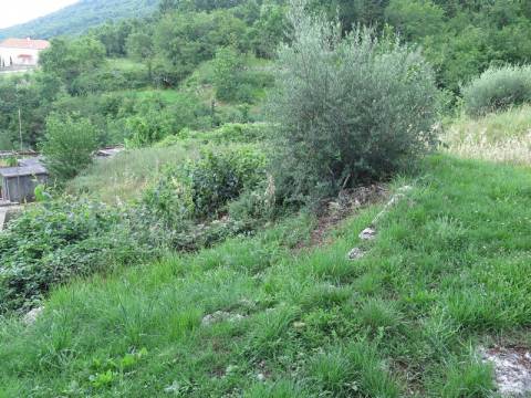 Lands Brseč, Mošćenička Draga, 1.157m2