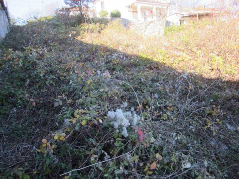 Lands Veprinac, Opatija - Okolica, 759m2