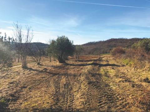 Lands Grožnjan, 114.440m2