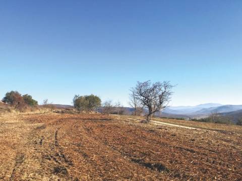 Lands Grožnjan, 114.440m2