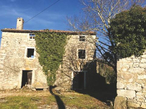 Lands Grožnjan, 114.440m2