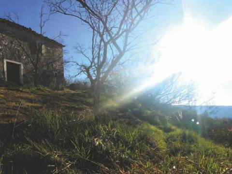 Lands Grožnjan, 114.440m2