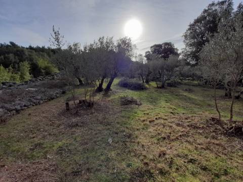 Lands Krk, 2.903m2