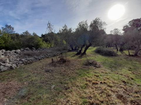 Lands Krk, 2.903m2