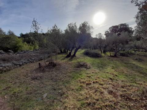 Lands Krk, 2.903m2