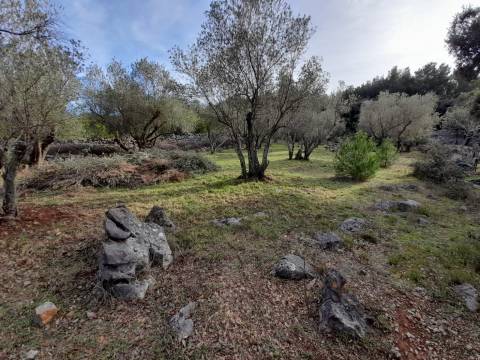 Lands Krk, 2.903m2