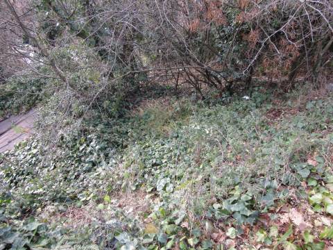 Lands Matulji, 1.233m2