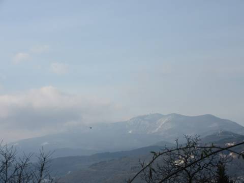 Lands Matulji, 1.233m2