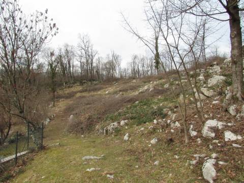 Lands Mučići, Matulji, 1.955m2
