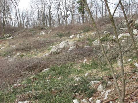 Lands Mučići, Matulji, 1.955m2