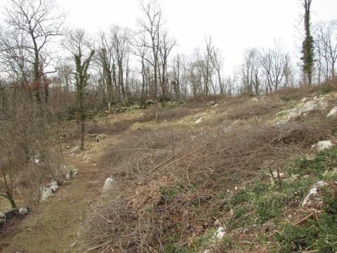 Lands Mučići, Matulji, 1.955m2