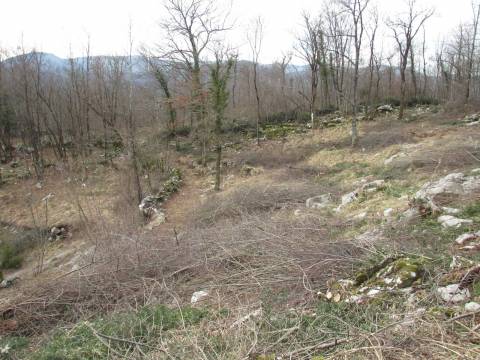 Lands Mučići, Matulji, 1.955m2