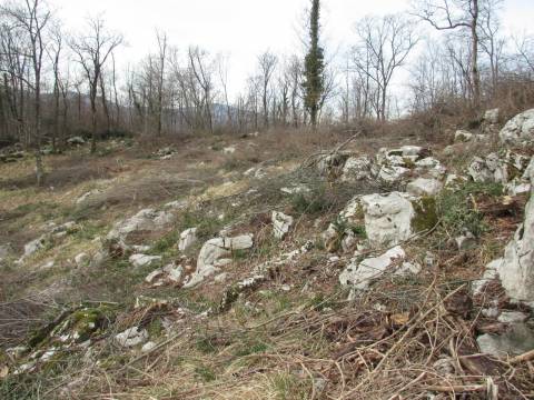 Lands Mučići, Matulji, 1.955m2