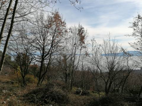 Lands Veprinac, Opatija - Okolica, 1.478m2