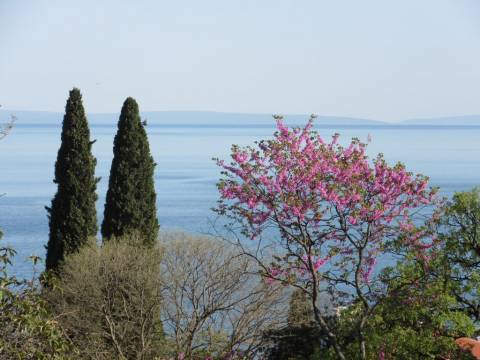 Houses Opatija - Centar, Opatija, 194m2