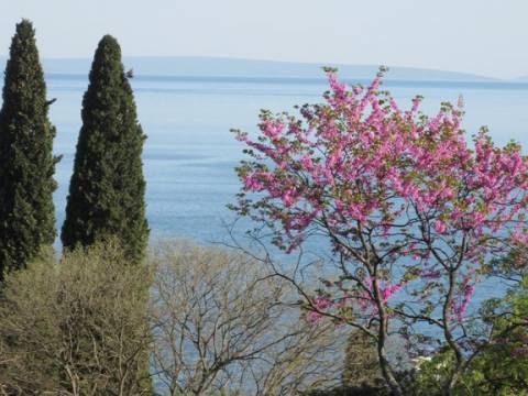 Houses Opatija - Centar, Opatija, 194m2