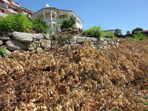 Ičići, Opatija - Okolica, 771m2