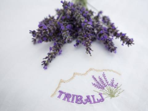 Дома Tribalj, Vinodolska Općina, 300m2