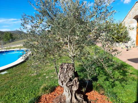 Case Grdoselo, Pazin - Okolica, 400m2