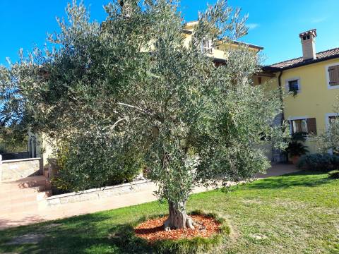 Case Grdoselo, Pazin - Okolica, 400m2