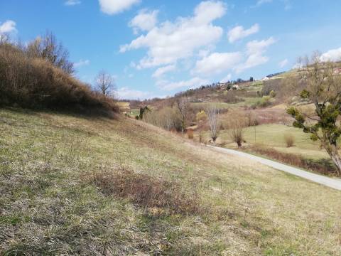 Lands Kozjak Začretski, Sveti Križ Začretje, 3.036m2