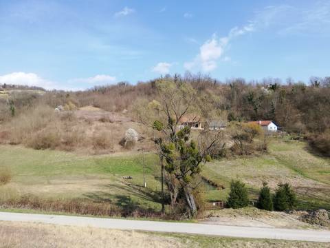 Lands Kozjak Začretski, Sveti Križ Začretje, 3.036m2