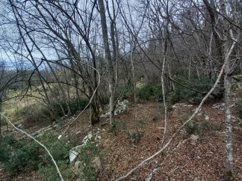 Земельные участки Opatija-okolica, Opatija, 1.520m2