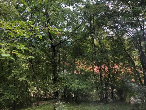 Земельные участки Zvoneća, Matulji, 4.633m2