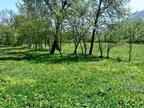 Häuser Brušane, Gospić - Okolica, 190m2