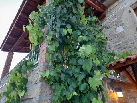 Häuser Beram, Pazin - Okolica, 150m2