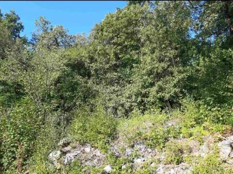 Lands Poljane, Opatija - Okolica, 712m2