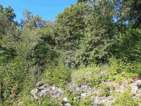 Lands Poljane, Opatija - Okolica, 712m2