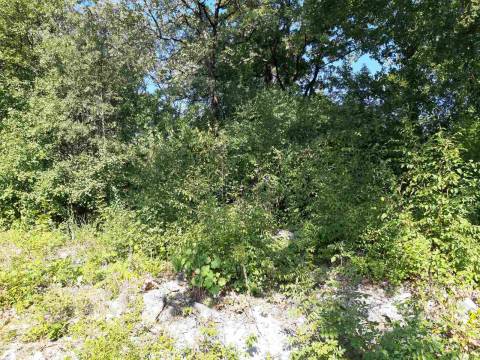Lands Poljane, Opatija - Okolica, 712m2