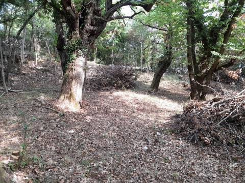Lands Obrš, Mošćenička Draga, 1.520m2