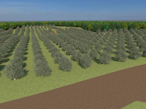 Lands Bale, 12.200m2