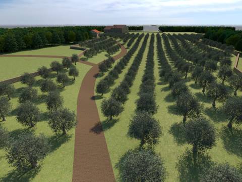 Lands Bale, 12.200m2