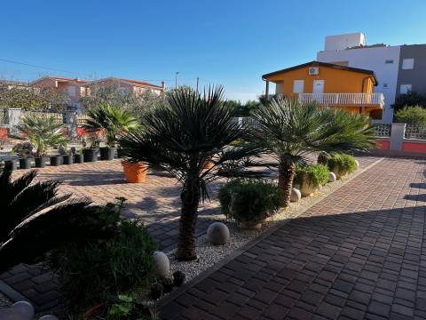 Vir/Dalmatien, Haus mit 4 Apartments 250m zum Meer