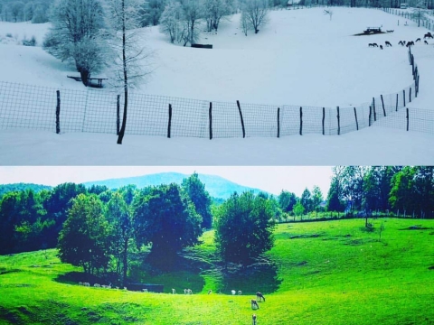 Häuser Brajdić Selo, Rakovica, 1.400m2