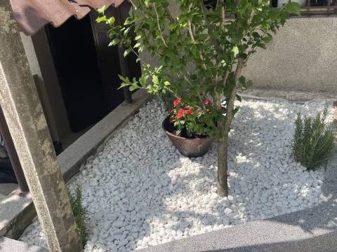 Häuser Budinščak, Donja Voća, 44m2