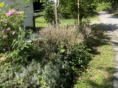 Häuser Budinščak, Donja Voća, 44m2