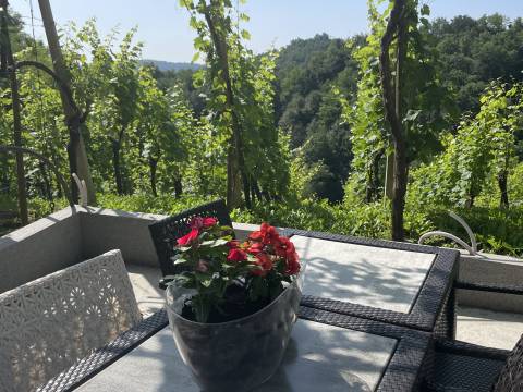 Häuser Budinščak, Donja Voća, 44m2
