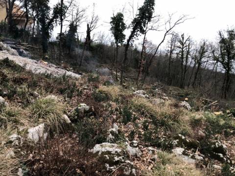Lands Bregi, Matulji, 1.203m2