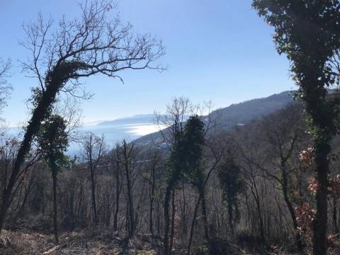 Lands Bregi, Matulji, 1.203m2