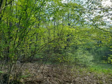 Земельные участки Zvoneća, Matulji, 392m2