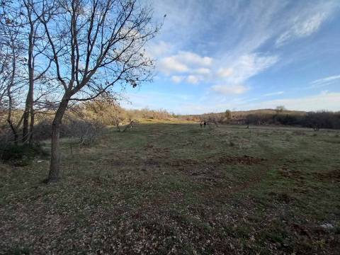 Земельные участки Skitača, Raša, 113.582m2