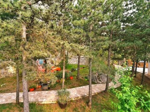 Kostrena, villa sa bazenom i zelenom oazom
