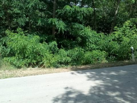 Bribir - dva  poljoprivredna zemljišta