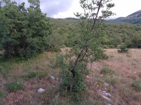 Lands Sveti Juraj, Senj, 33.693m2